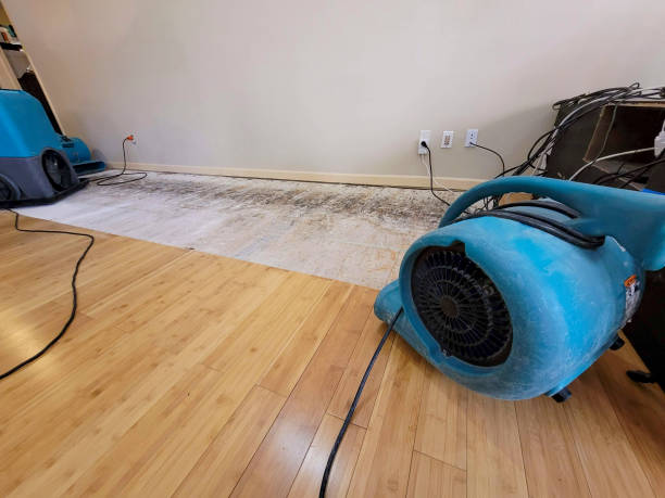 Professional Flood Damage Cleanup technician working in Maysville, OK